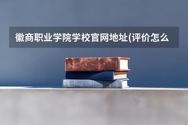 徽商职业学院学校官网地址(评价怎么样)